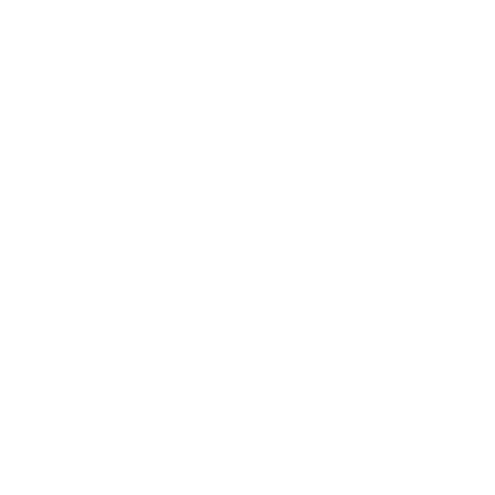 FONDAZIONE             DELL'ORDINE DEGLI INGEGNERI DELLA PROVINCIA DI BRESCIA